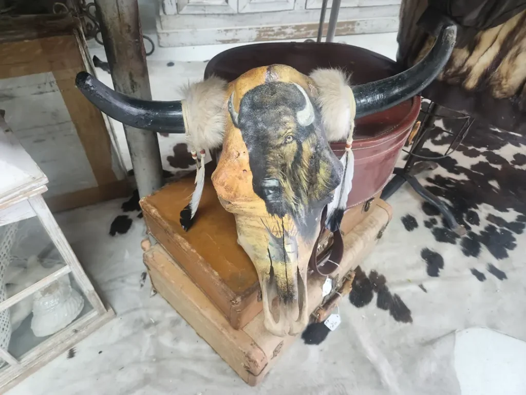 A painted buffalo skull with a buffalo image and feathers rests on stacked boxes and animal hide.