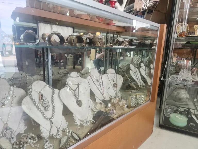 Jewelry display case with necklaces bracelets and rings